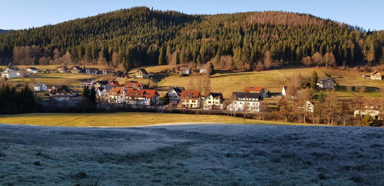 Ferienwohnung Hirschlein im Schwarzwald Baiersbronn Exterior foto