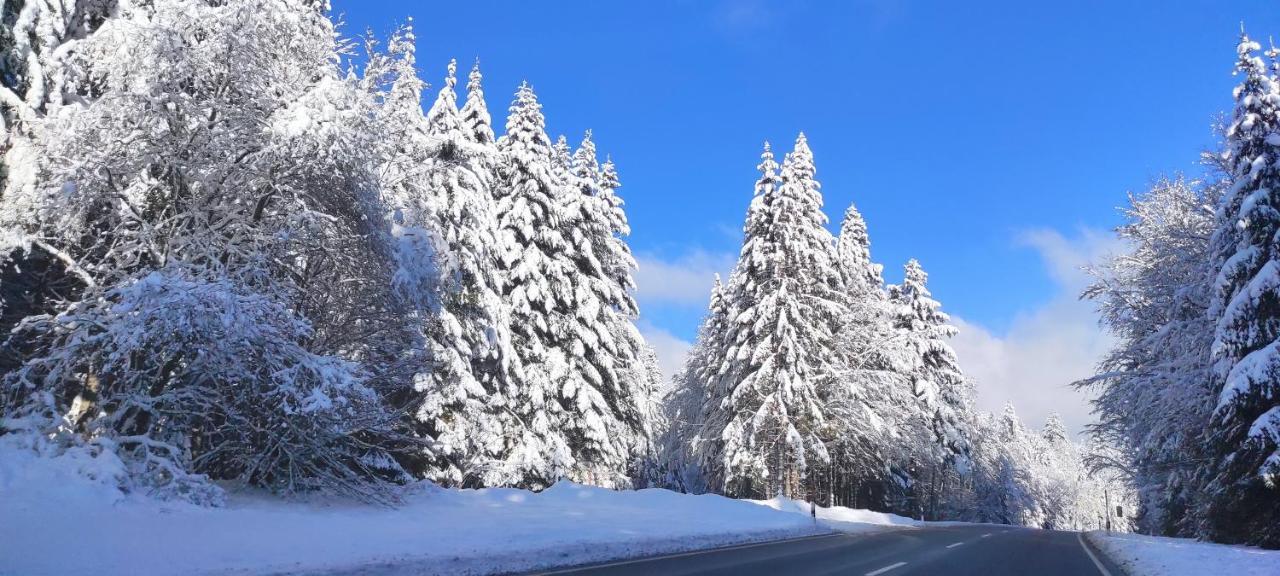 Ferienwohnung Hirschlein im Schwarzwald Baiersbronn Exterior foto