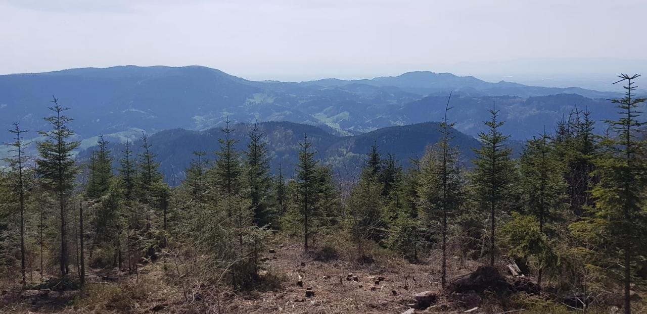Ferienwohnung Hirschlein im Schwarzwald Baiersbronn Exterior foto